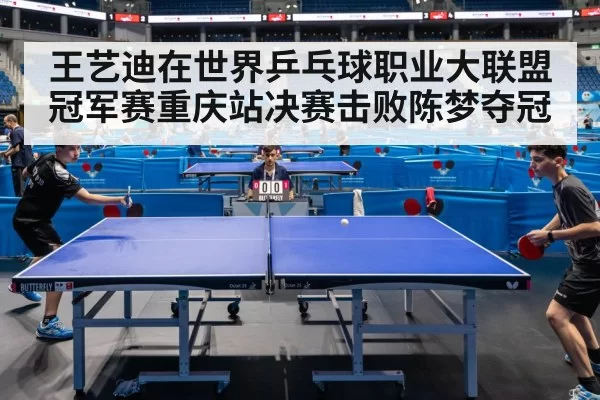 table tennis match action