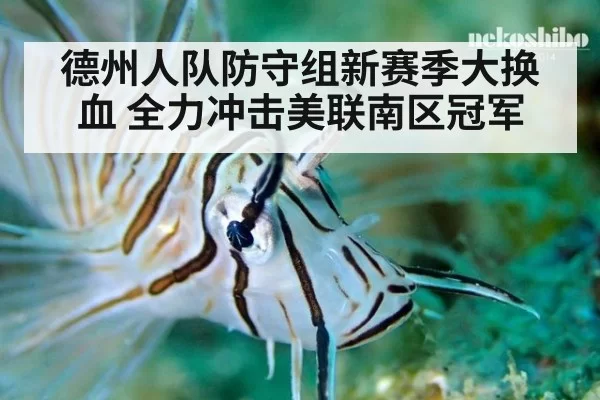 德州人队防守组新赛季大换血 全力冲击美联南区冠军