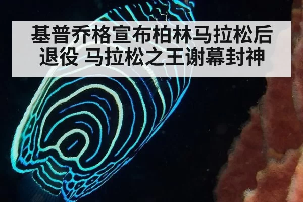 基普乔格宣布柏林马拉松后退役 马拉松之王谢幕封神