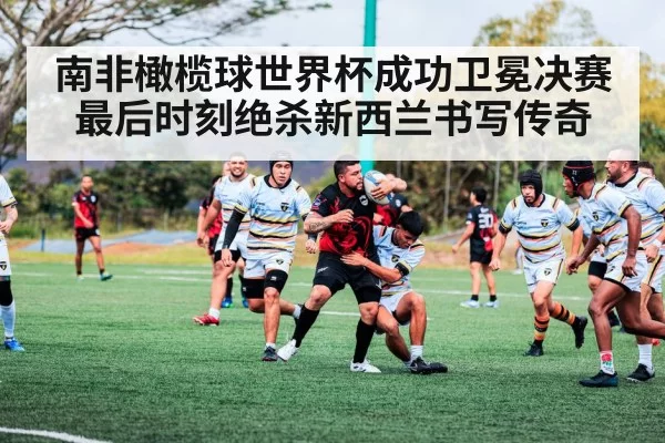 南非橄榄球世界杯成功卫冕决赛最后时刻绝杀新西兰书写传奇