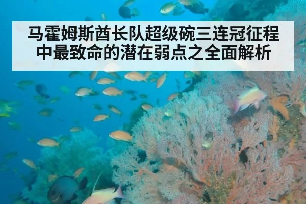 马霍姆斯酋长队超级碗三连冠征程中最致命的潜在弱点之全面解析